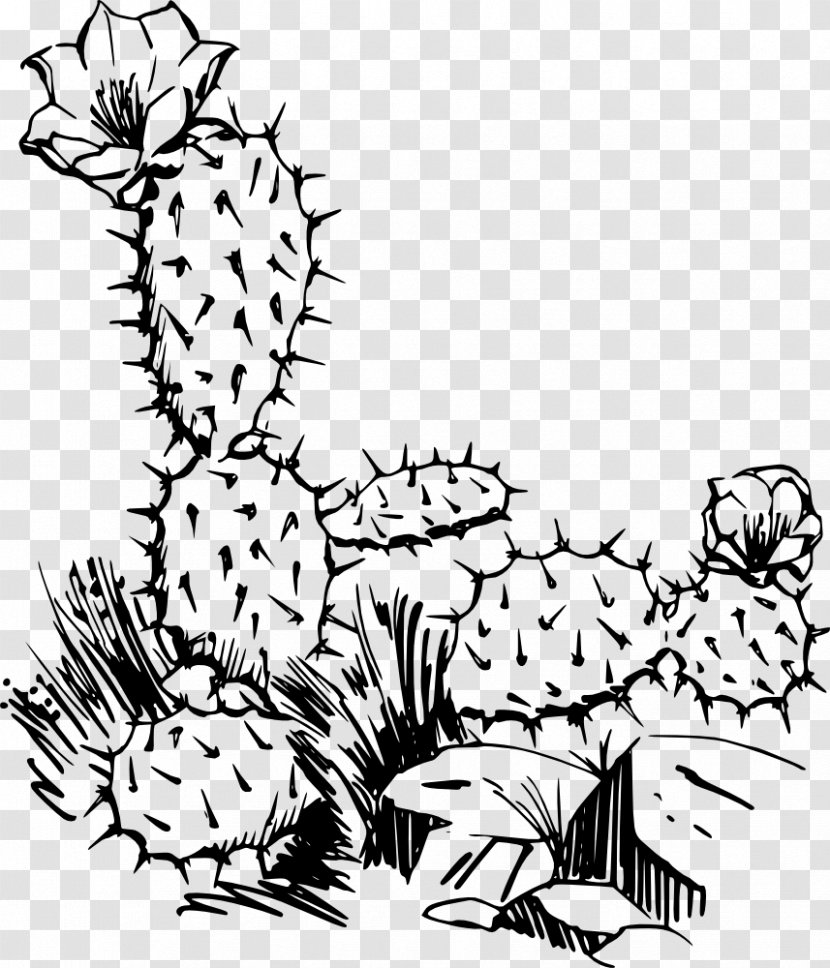 Cactaceae Saguaro Prickly Pear Clip Art - Black - Succulent Transparent PNG