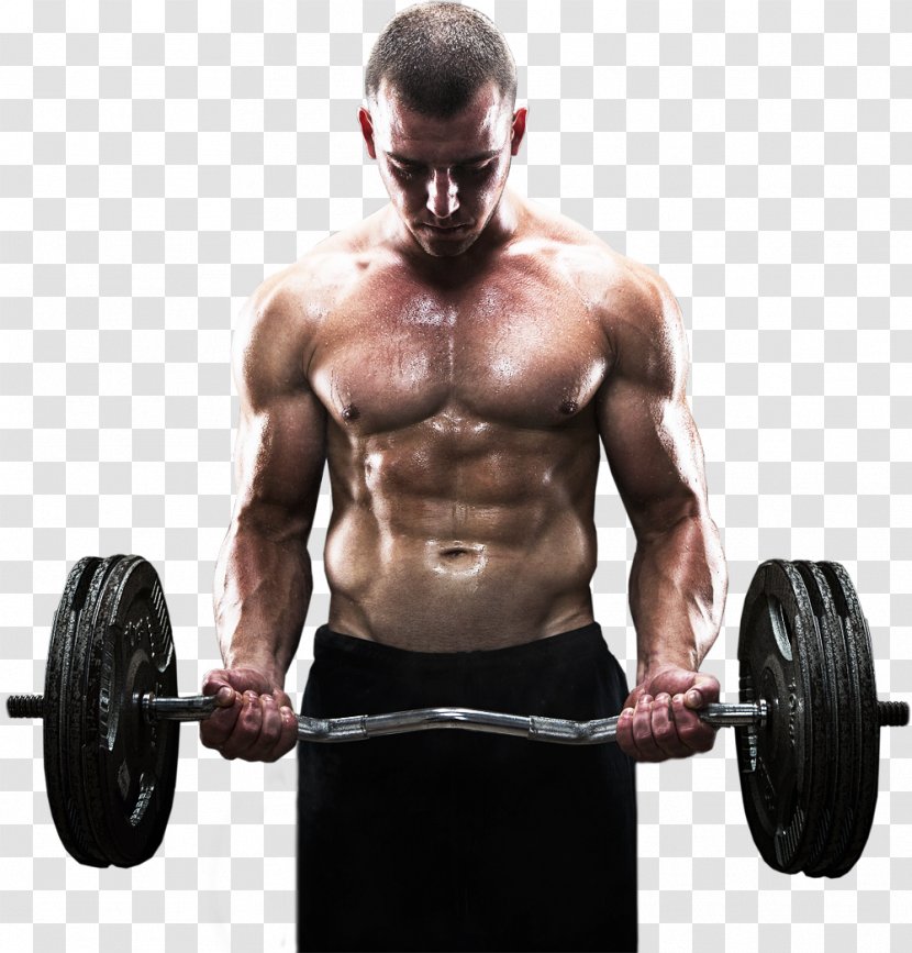 Weight Training Fitness Centre Bodybuilding Olympic Weightlifting Dumbbell - Cartoon - Strong Transparent PNG