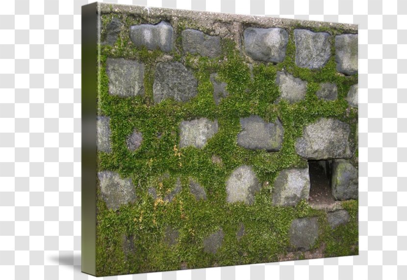 Moss Stone Wall Art Mural - Picture Frames - Painting Transparent PNG