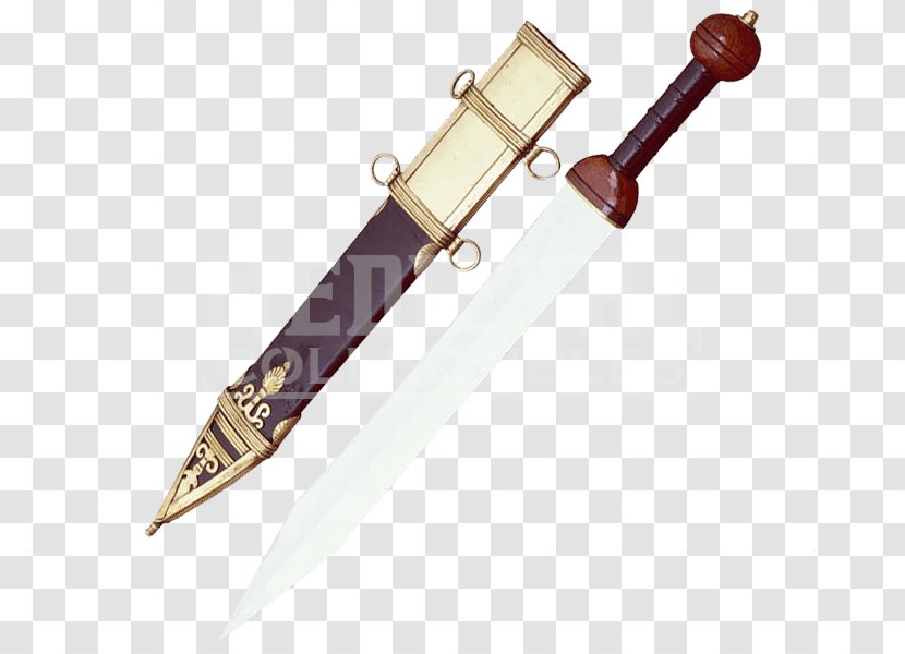 Gladius Maximus Sword Gladiator Dagger - Tool Transparent PNG