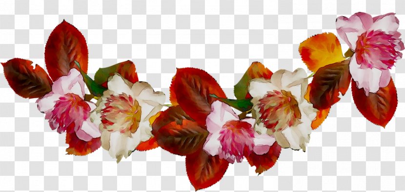 Floral Design Cut Flowers Flowering Plant - Wildflower Transparent PNG
