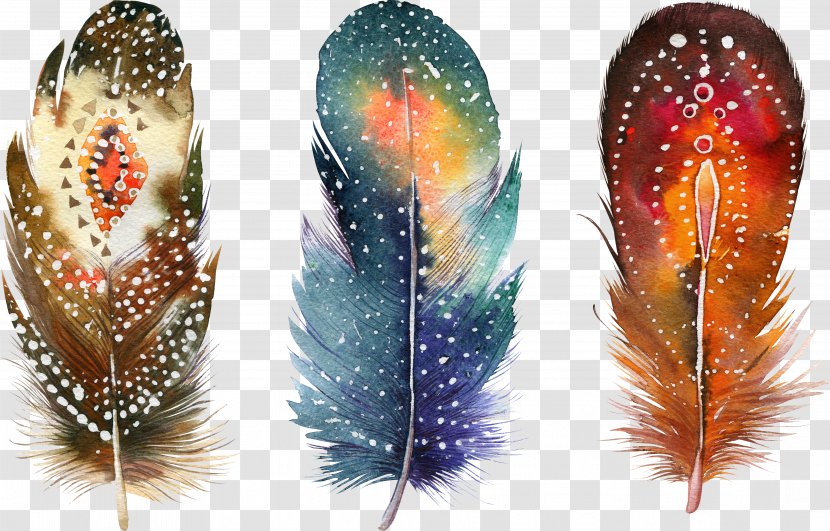 Watercolor Painting Feather Drawing Poster - Bohochic - Fancy Feathers Transparent PNG
