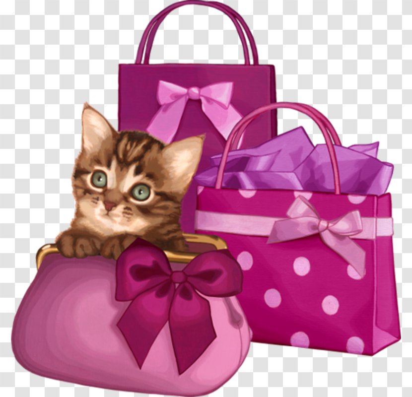 Background Birthday - Cat - Luggage And Bags Small To Mediumsized Cats Transparent PNG