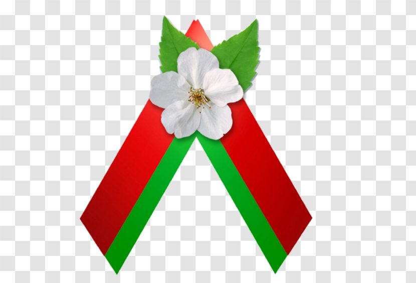 Baranavichy Victory Day Great Patriotic War Speckombinat KBO Up May - Minsk - School Transparent PNG