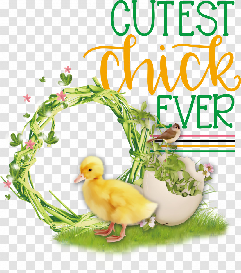 Happy Easter Cutest Chick Ever Transparent PNG