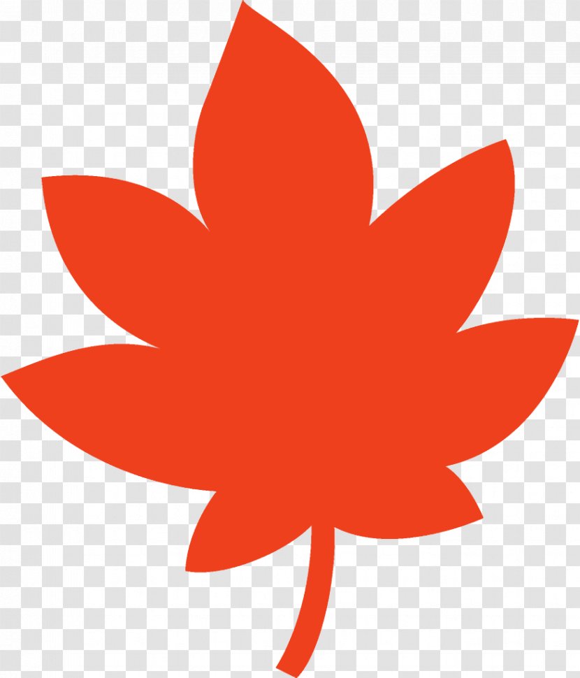 Maple Leaf Fallen Dead - Tree - Logo Flower Transparent PNG