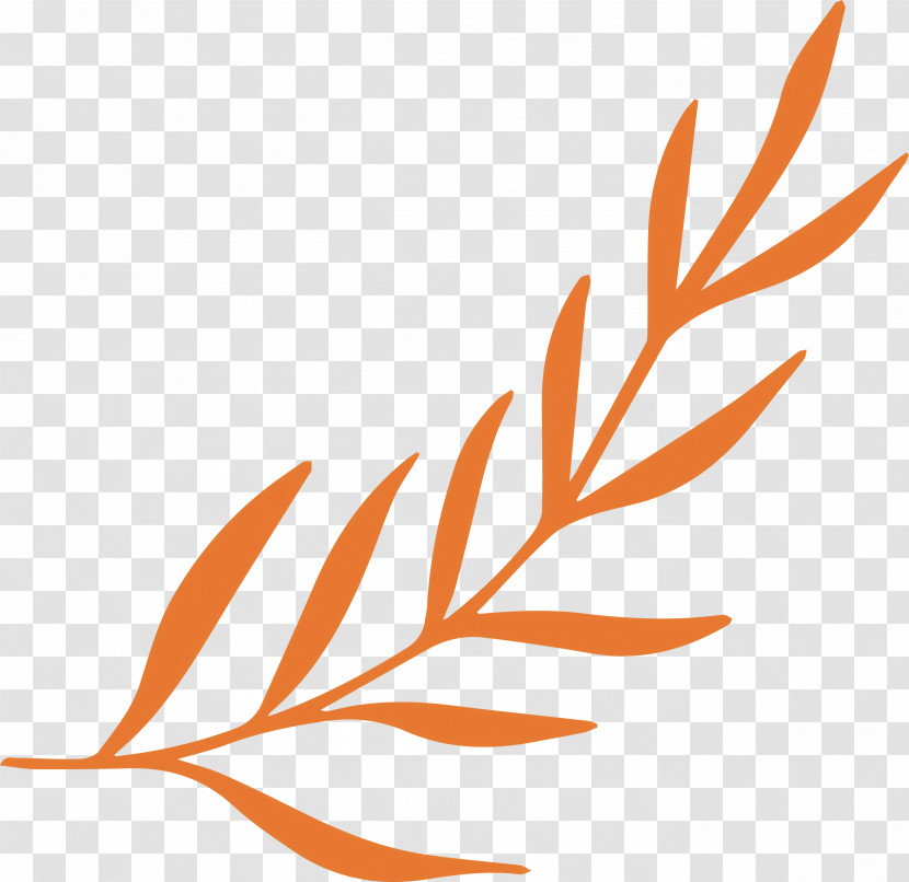 Simple Leaf Simple Leaf Drawing Simple Leaf Outline Transparent PNG