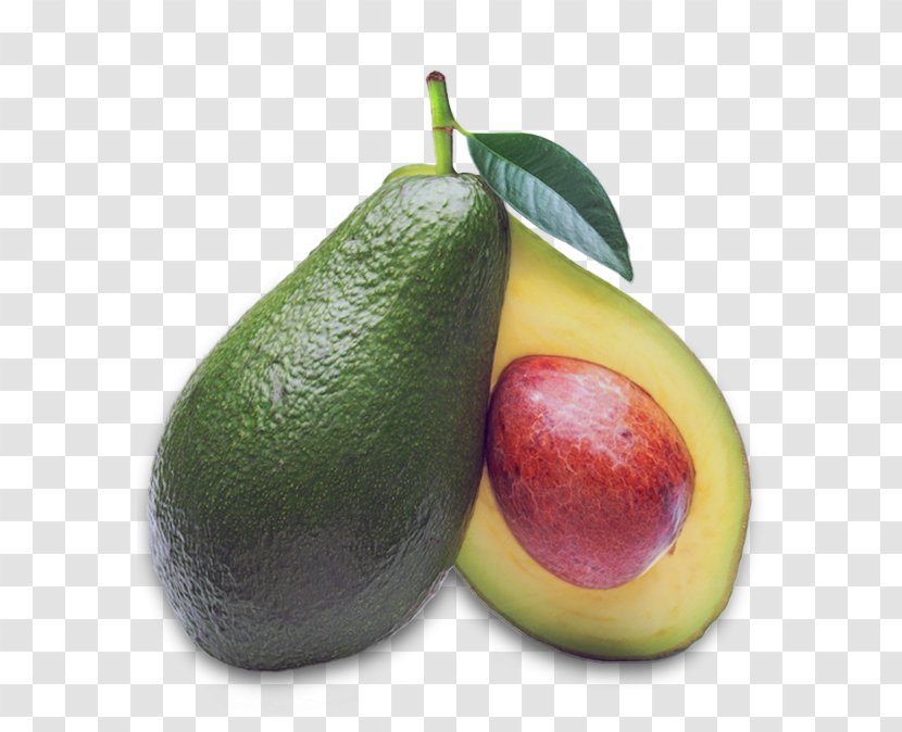 Avocado Food Fat Fruit Vitamin - Nutrition - Tropical Transparent PNG