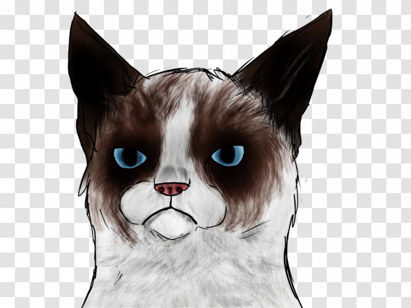 Grumpy Cat: A Book Snowshoe Cat Kitten Manx - Watercolor Transparent PNG