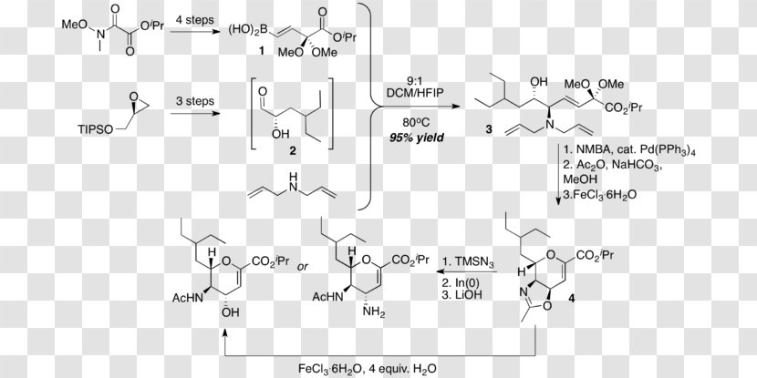 Chemical Reaction Sialic Acid Petasis N-Acetylneuraminic Zanamivir - Frame - Strychnine Total Synthesis Transparent PNG