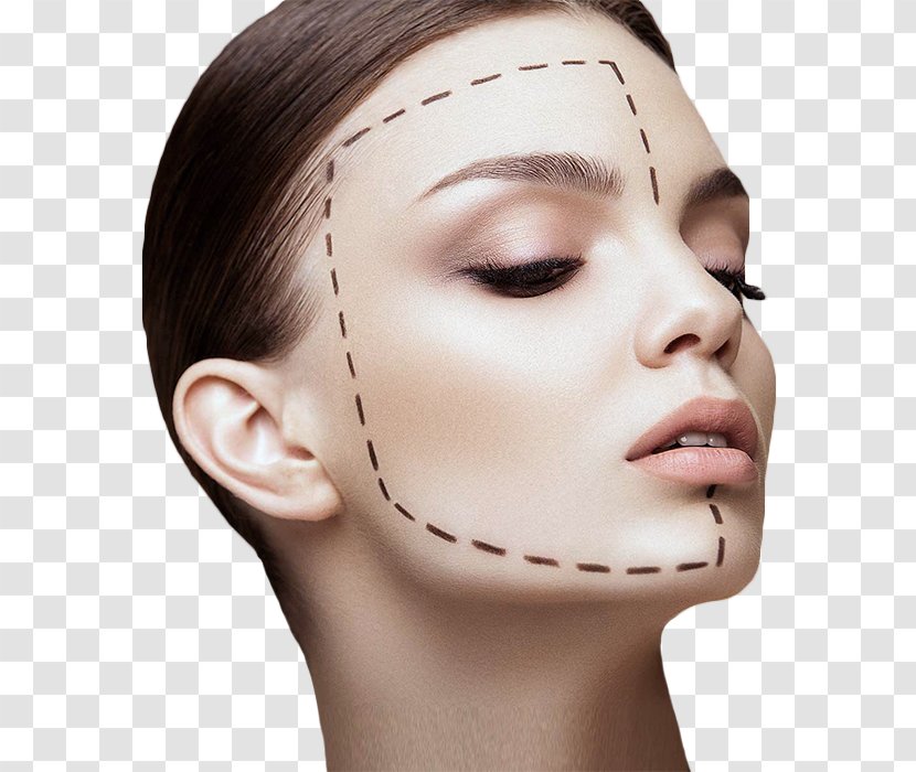 Plastic Surgery Elite Body Contouring Rhytidectomy High-intensity Focused Ultrasound - Neck - Eyebrow Transparent PNG