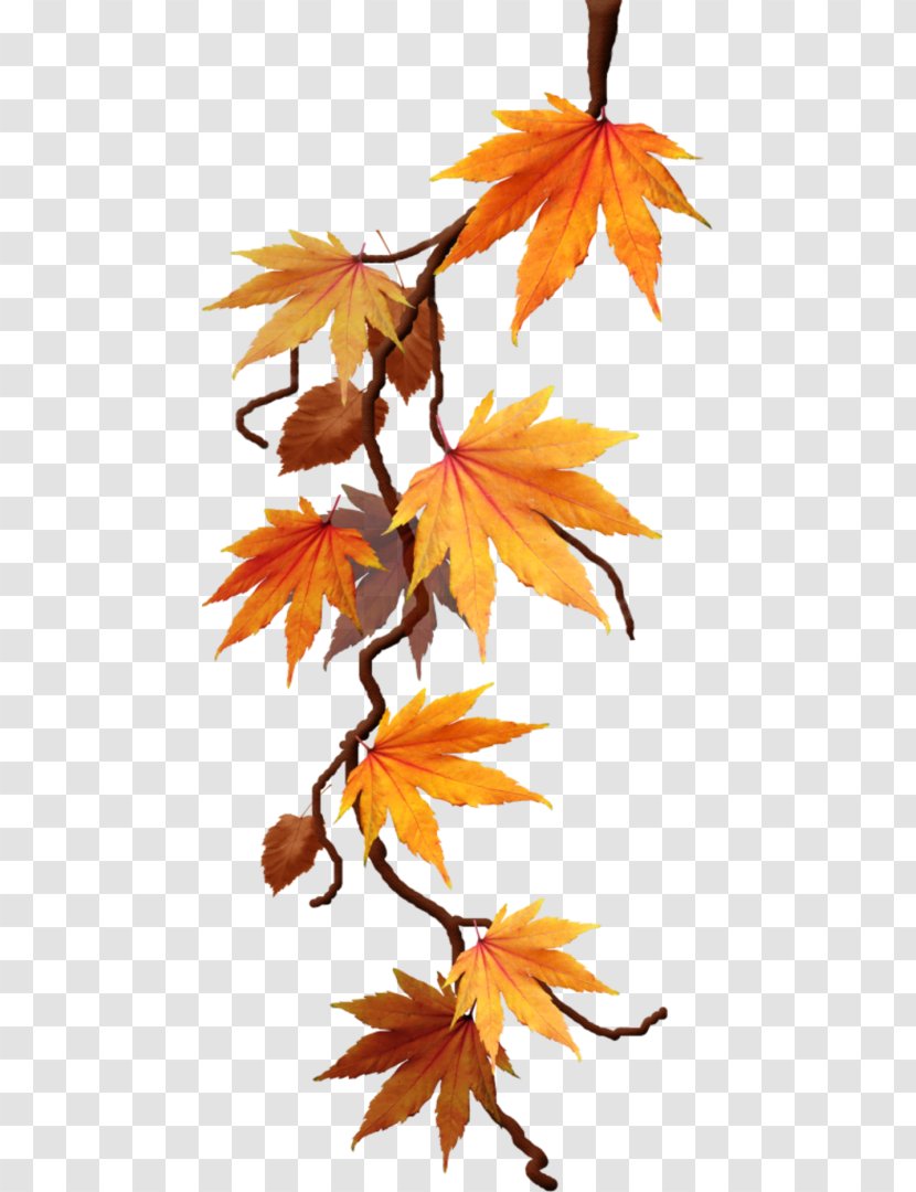 Clip Art Autumn Maple Leaf - Tree Transparent PNG