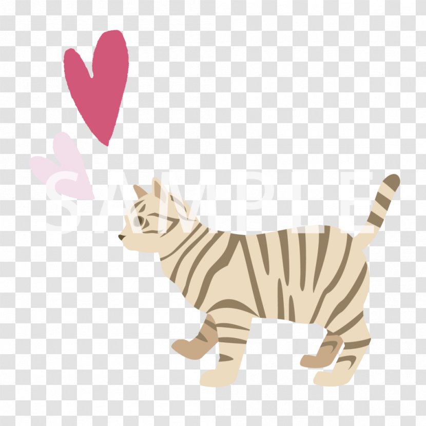Big Cat Tiger Tail Wildlife - Cats Transparent PNG