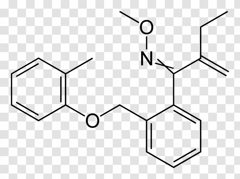 Hydrochloric Acid Chemistry CAS Registry Number Amino - Drawing - Methyl Orange Transparent PNG