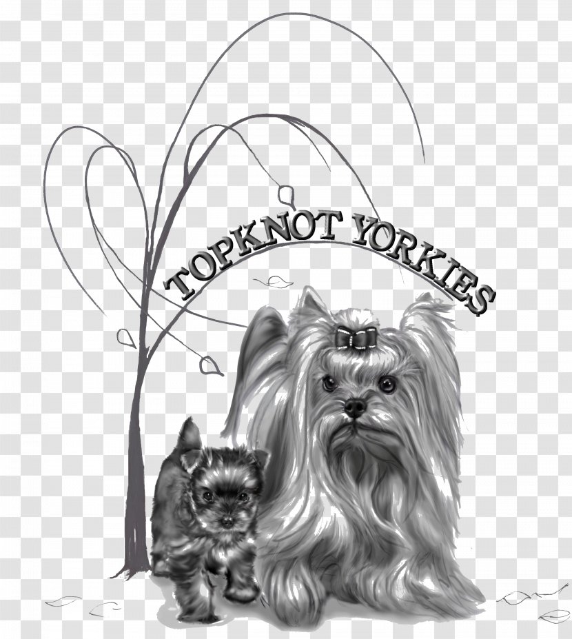 Yorkshire Terrier Skye Dog Breed Toy - Black And White Transparent PNG