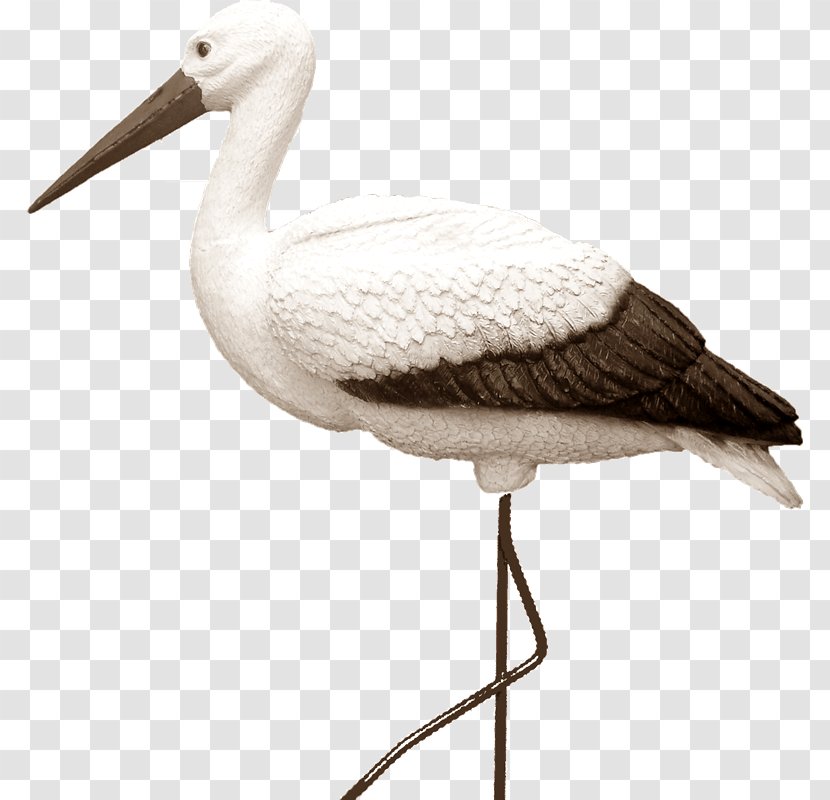 White Stork Bird Artikel Price - Heart - Starwars Transparent PNG