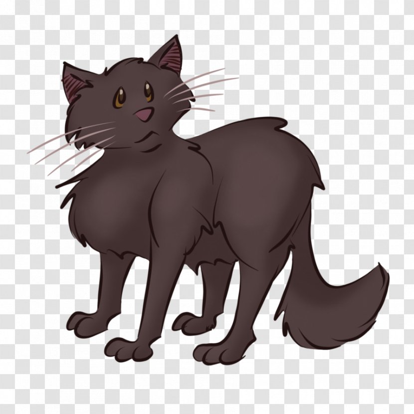 Whiskers Kitten Domestic Short-haired Cat Black - Carnivoran Transparent PNG