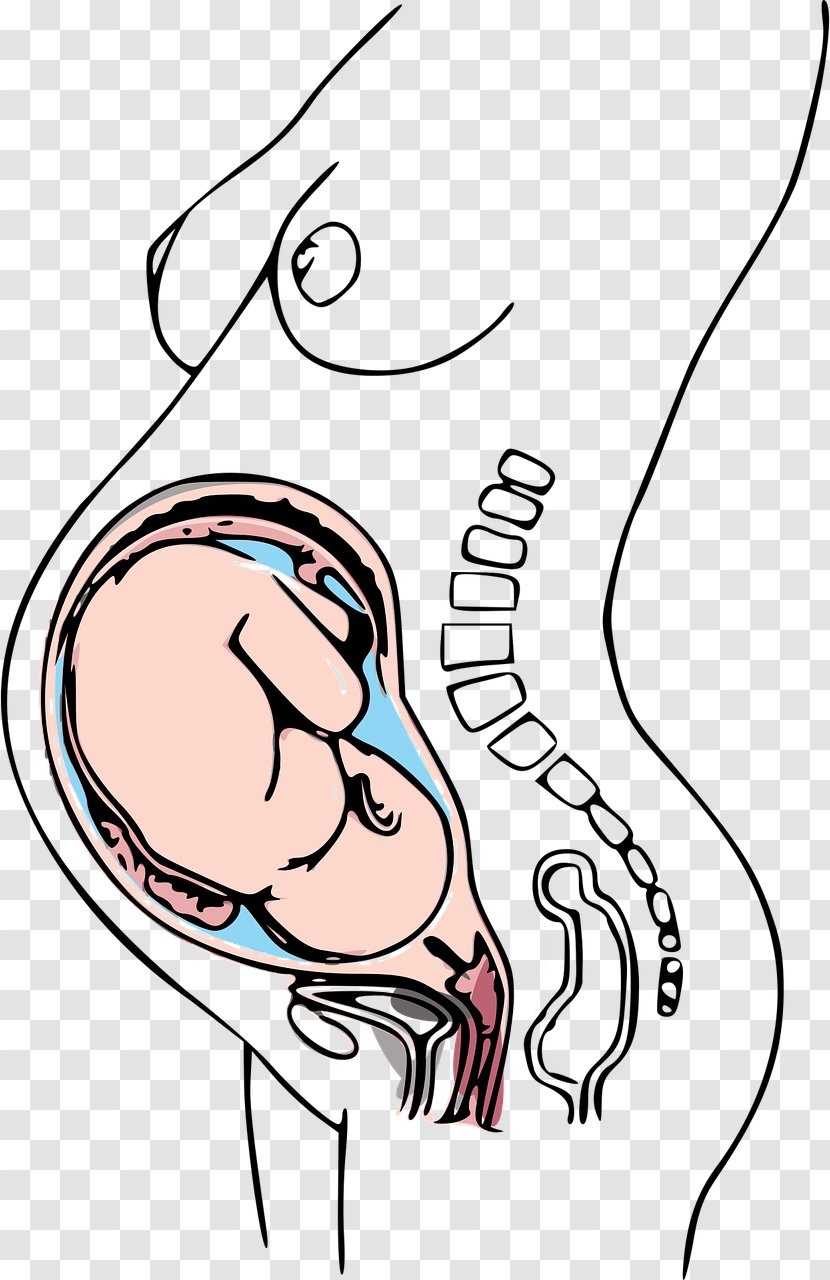 Pregnancy Caesarean Section Prenatal Care Morning Sickness Woman - Watercolor - Pregnant Transparent PNG