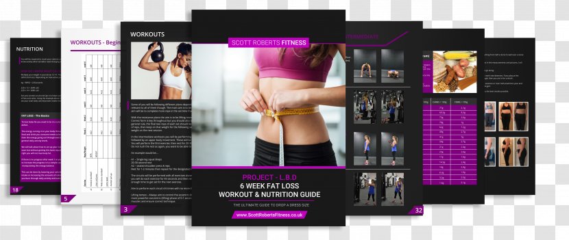 Lose Your Belly Fat Within Days: The Deposition Of In Area Can Easily Be Removed By This Strategy Brand Display Advertising Ketosis Abdominal Obesity - Adipose Tissue - Scott Munro Personal Training Transparent PNG