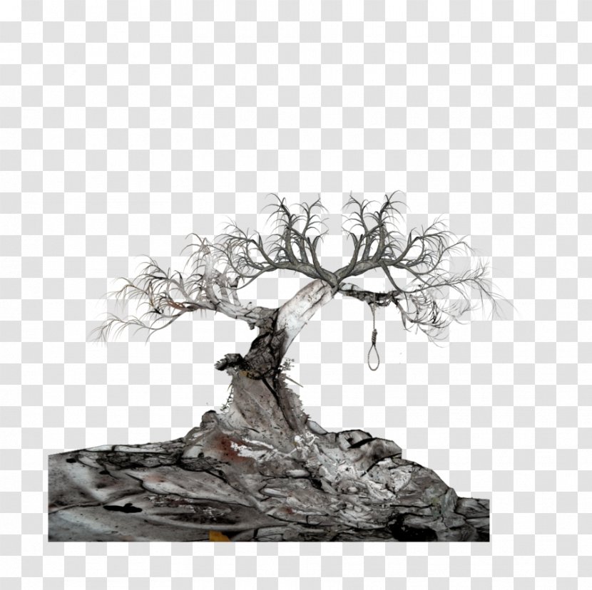 The Crucible Tree Essay - Snag - Great Transparent PNG
