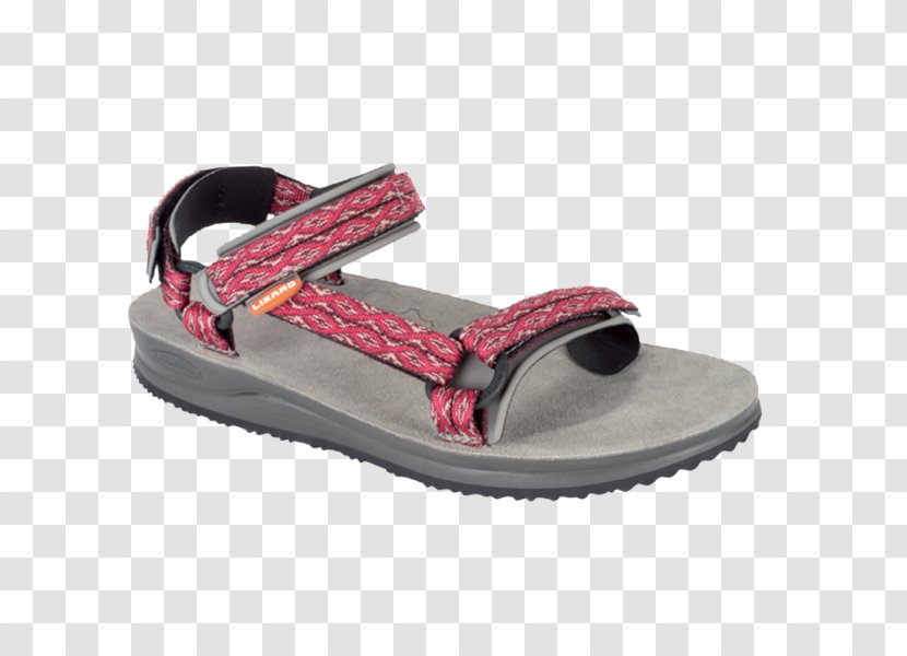 Sandal Teva Shoe Tourism Belt - Footwear Transparent PNG