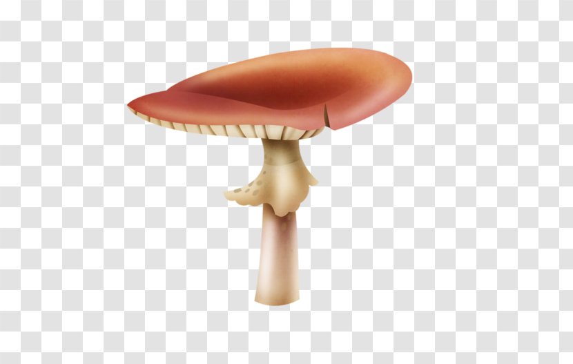 Mushroom Shiitake - Cartoon Transparent PNG