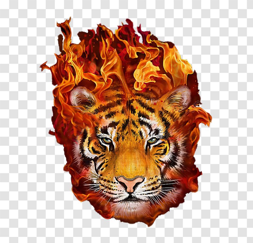 Baby Tigers Art Painting Flame - Fire Tiger Transparent PNG