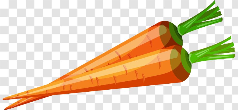 Carrot Vegetable Love - Daucus Carota - Carrots Vegetables Vector Material Transparent PNG