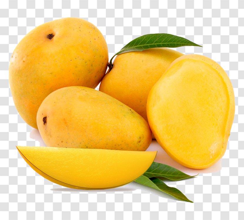 Mangifera Indica Alphonso Mango Devgad Taluka Food Transparent PNG