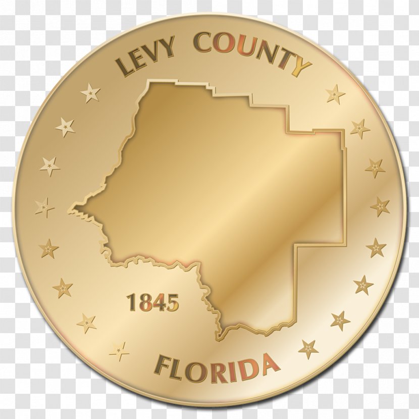 Silver Coin Gold Bullion - Levy County Florida Transparent PNG