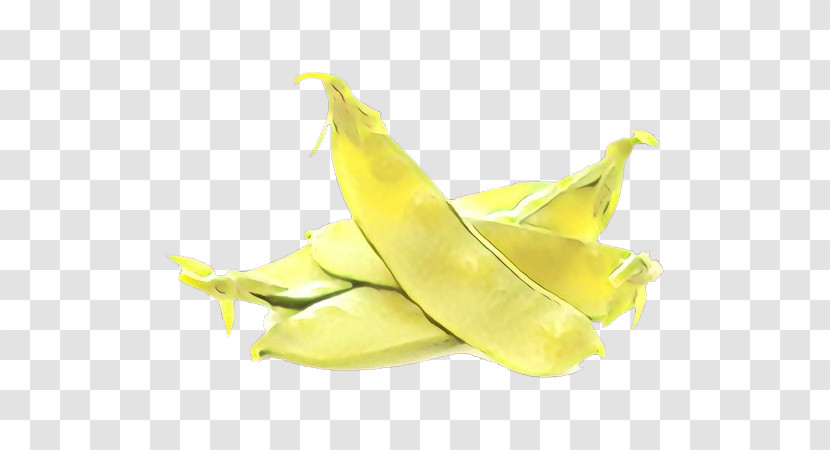 Yellow Plant Food Legume Fruit Transparent PNG