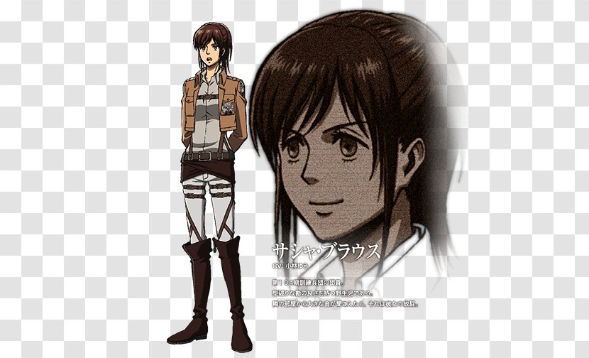 Sasha Braus Mikasa Ackerman Eren Yeager Levi Attack On Titan - Flower - Kobayashi Transparent PNG