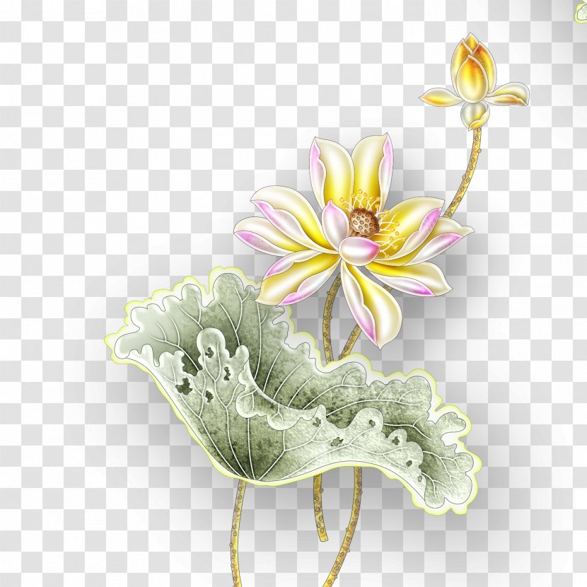 Nelumbo Nucifera Grey Gold - Flower Arranging - Lotus Transparent PNG
