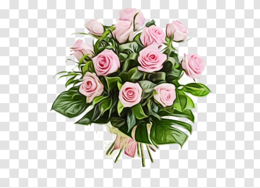 Garden Roses Transparent PNG