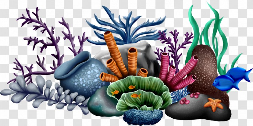 T-shirt Image Illustration - Clothing - Coral Reef Transparent PNG