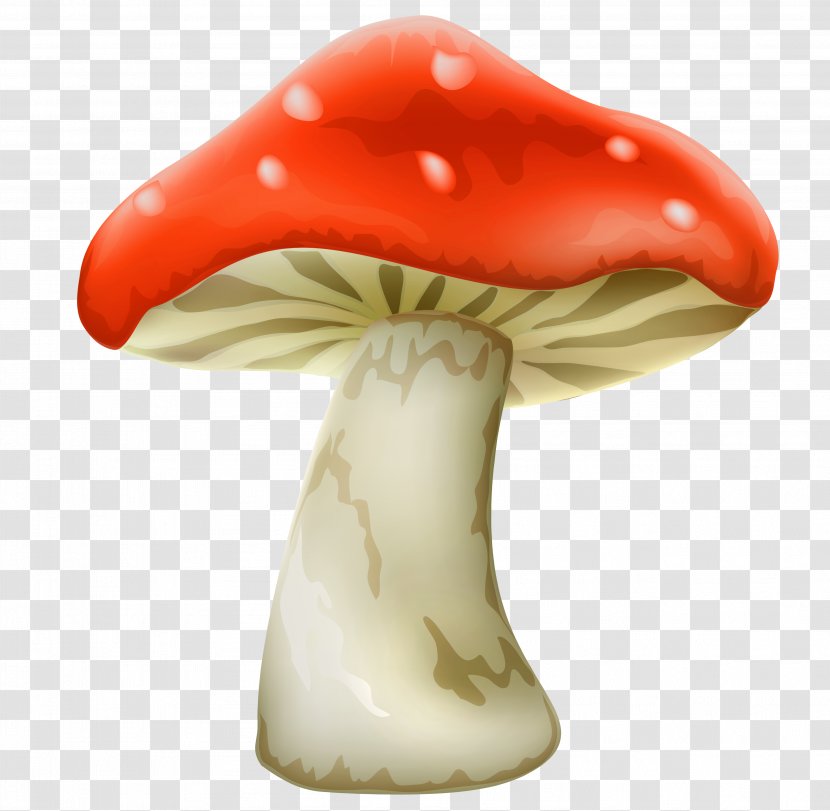 Mushroom Clip Art - Transparency And Translucency Transparent PNG