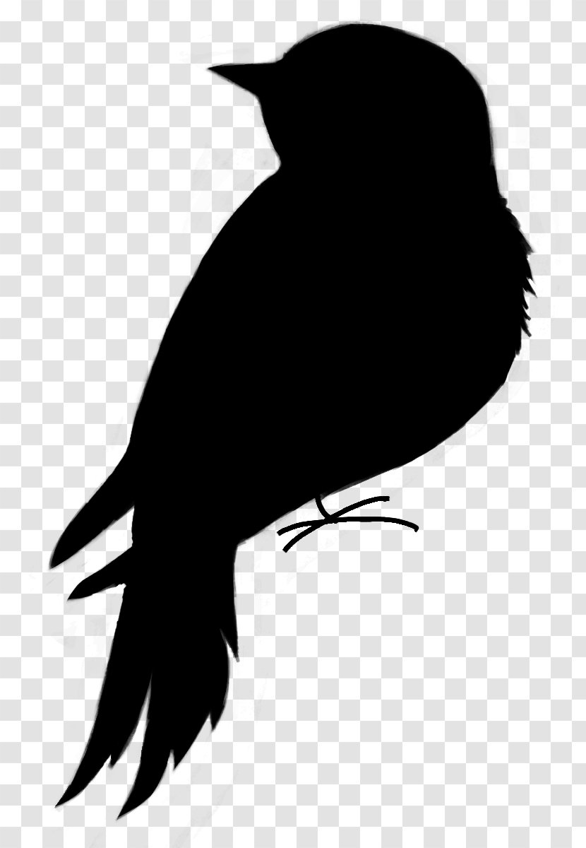 Beak Clip Art Fauna Silhouette Neck - Raven - Bird Transparent PNG