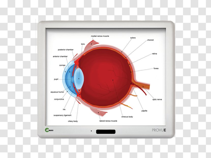 Display Device Multimedia Electronics - Technology - Precision Instrument Transparent PNG