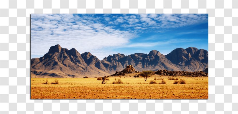 Namib Kalahari Desert Skeleton Coast Arid - Geographical Feature Transparent PNG