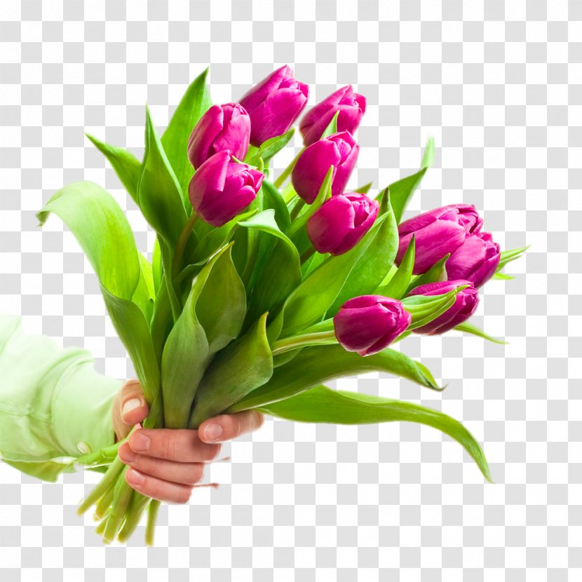 Flower Bouquet Stock Photography Tulip Stock.xchng - Stockxchng - Holding A Of Tulips Transparent PNG