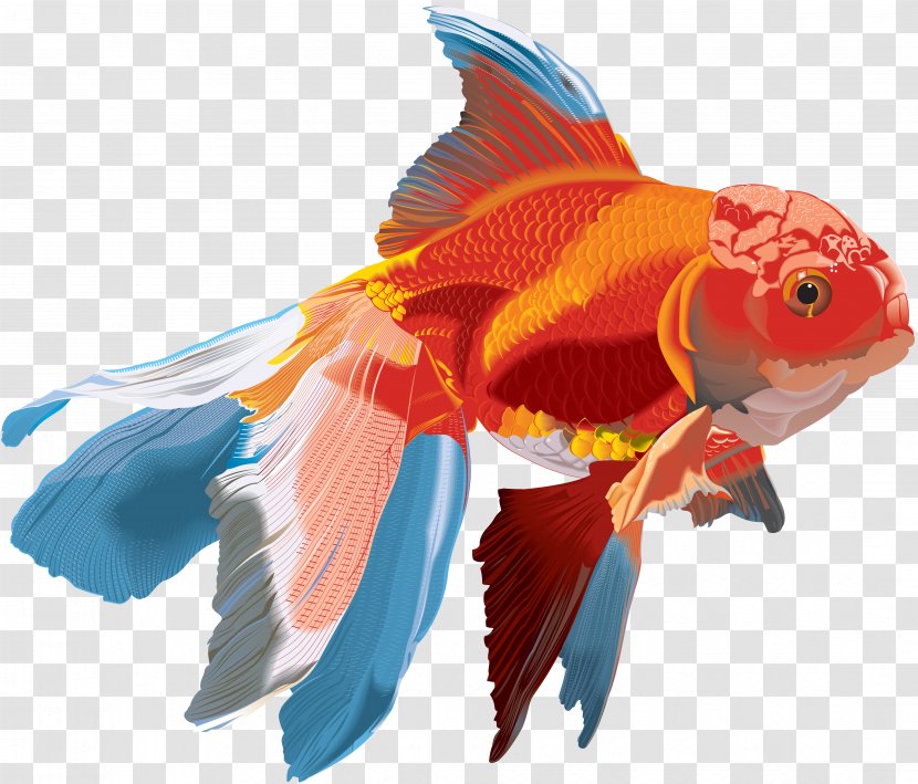 Goldfish Watercolor Painting - Creatures Transparent PNG