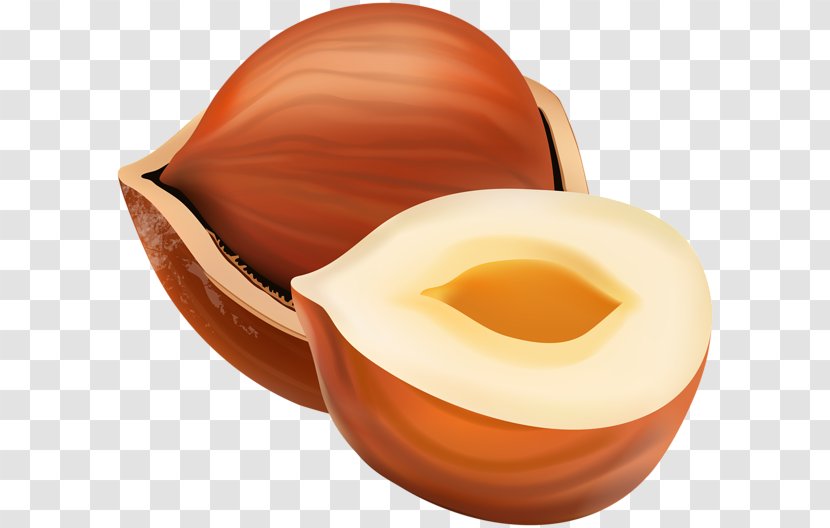 Clip Art Image Photograph - Peach - Hazelnut Transparent PNG