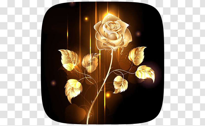 Desktop Wallpaper Stock Photography Clip Art - Lamp - Rose Transparent PNG
