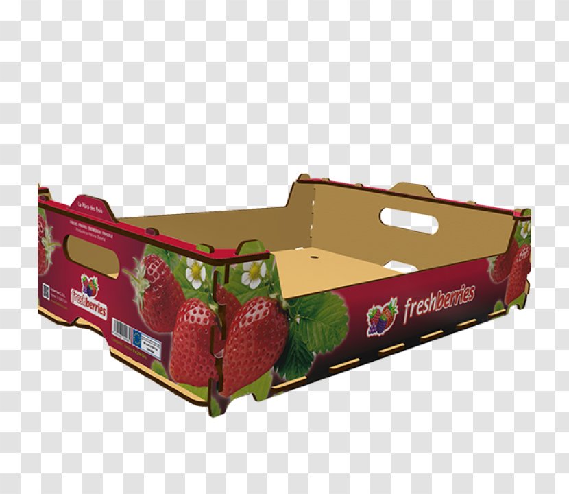 Quality Concept - Fragaria - Design Transparent PNG