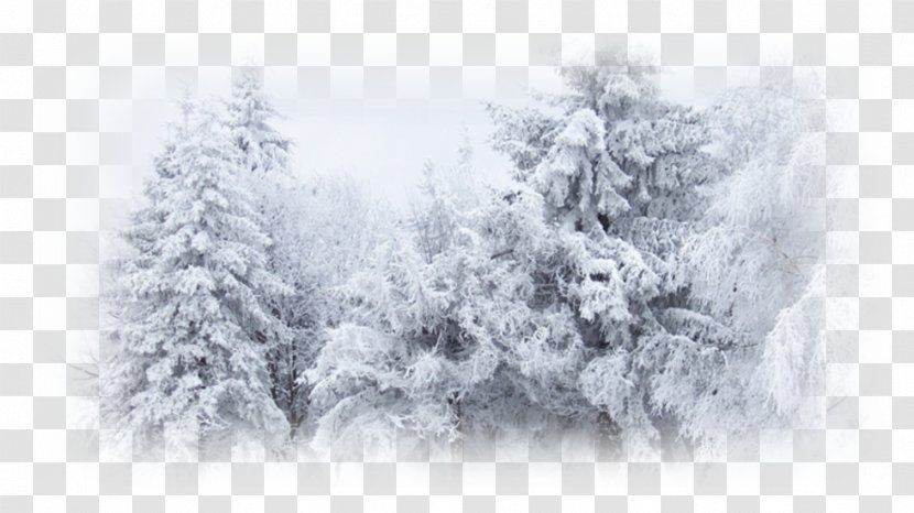 Winter Snow Desktop Wallpaper Cold - Monochrome Transparent PNG