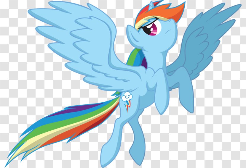 My Little Pony Rainbow Dash Fluttershy Winged Unicorn - Fictional Character Transparent PNG