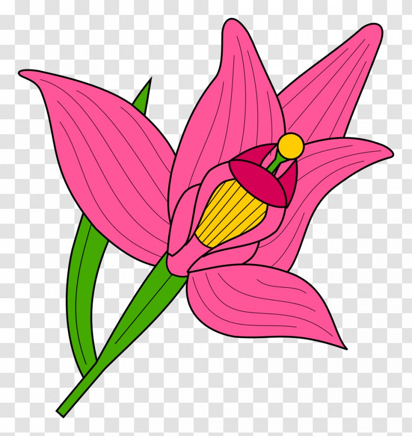 Heraldry Cattleya Trianae Odontoglossum Cephalanthera Rubra Clip Art - Pollinator Transparent PNG