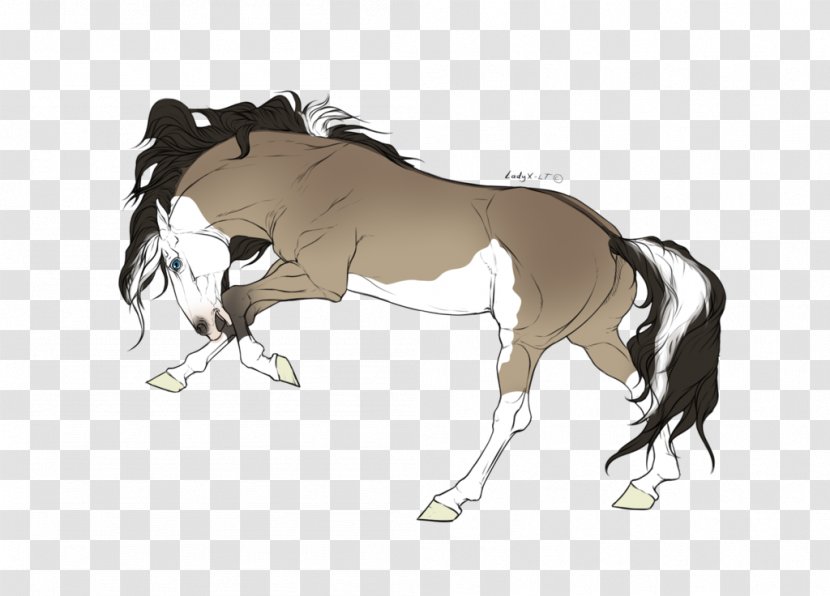 Foal Stallion Mane Colt Mare - Horse Tack - Mustang Transparent PNG