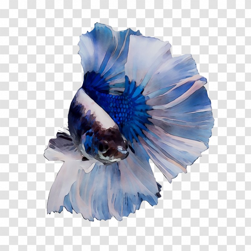 Flowering Plant Plants - Blue - Costume Transparent PNG