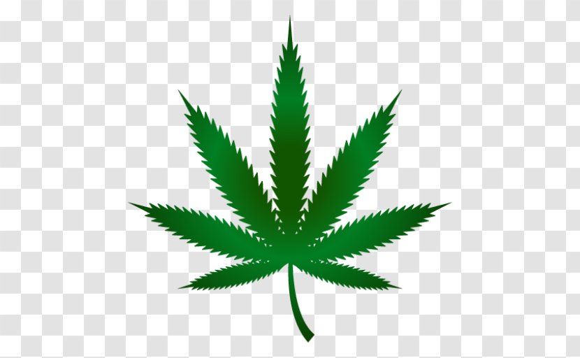 Cannabis Ruderalis Cultivation Leaf Marijuana - Plant Transparent PNG